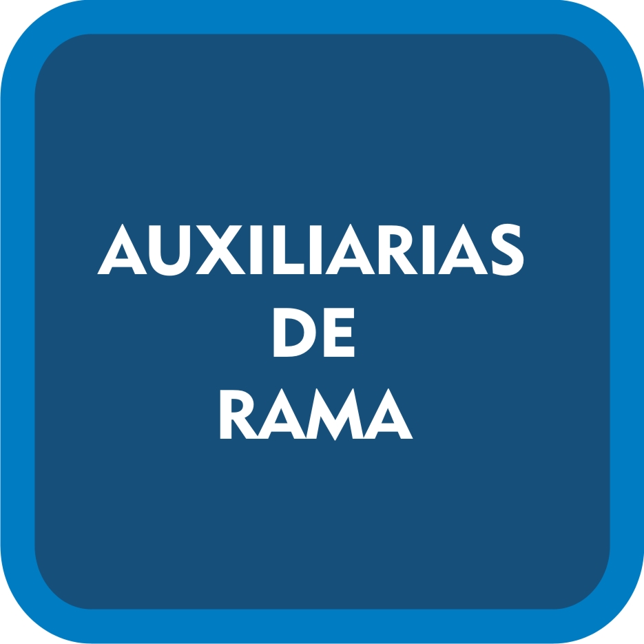 auxiliarias